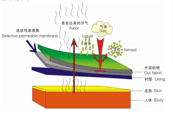 沖鋒衣廠家(睿牛制衣)